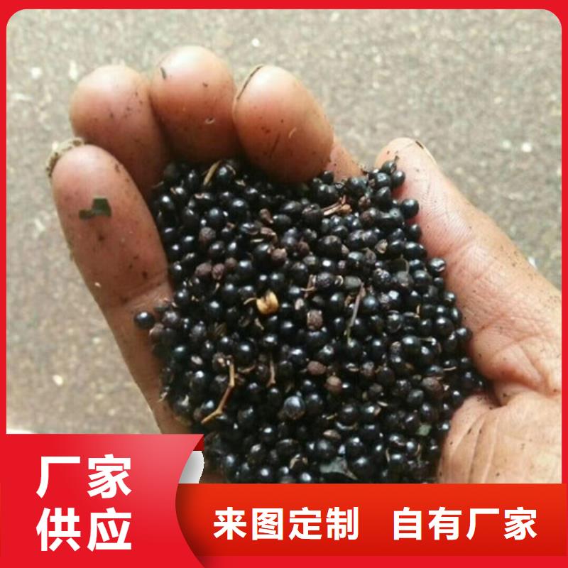 花椒苗-【核桃苗】拒绝中间商