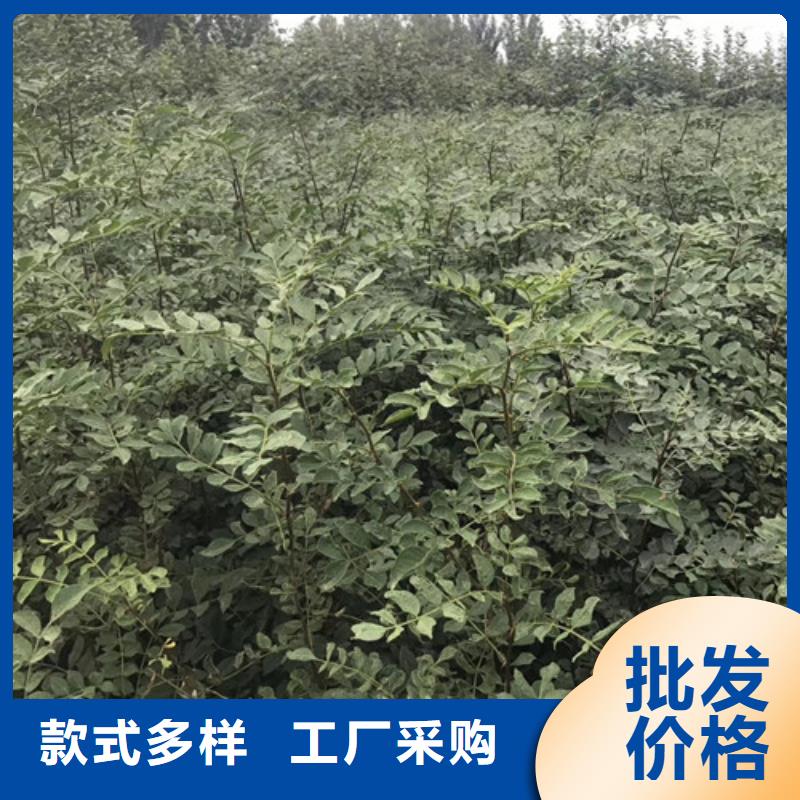 花椒苗桃树苗的图文介绍