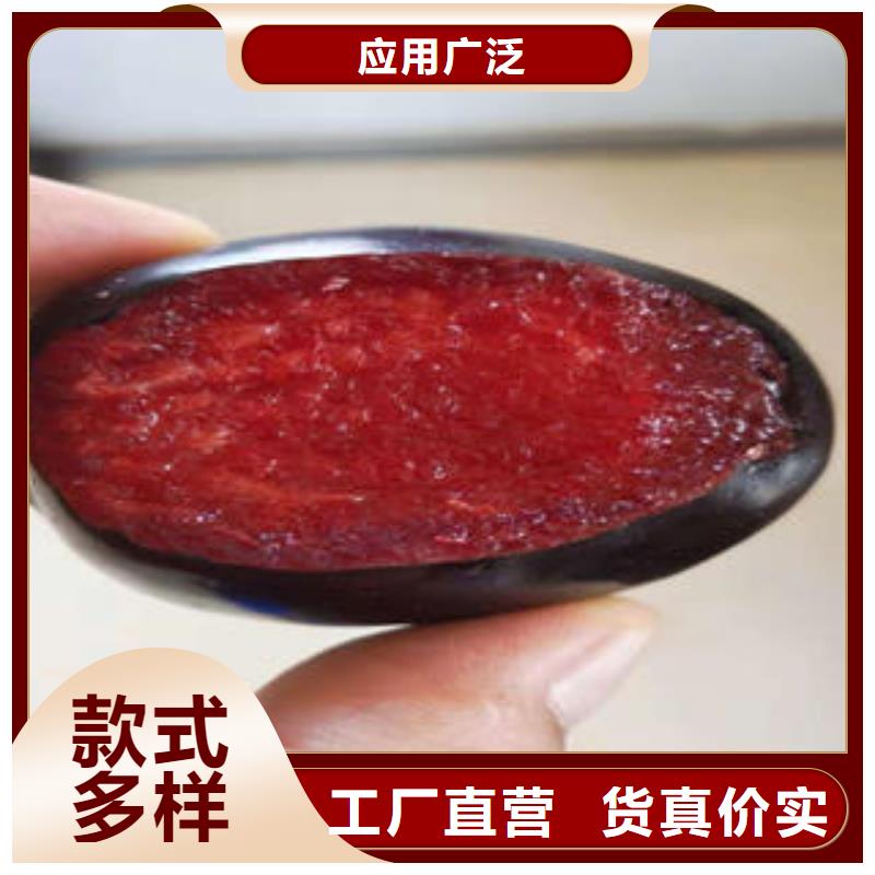 蓝莓苗-视频-蓝莓苗|贵州省毕节市|织金|赫章|六盘水|安顺|黔南|贵阳
