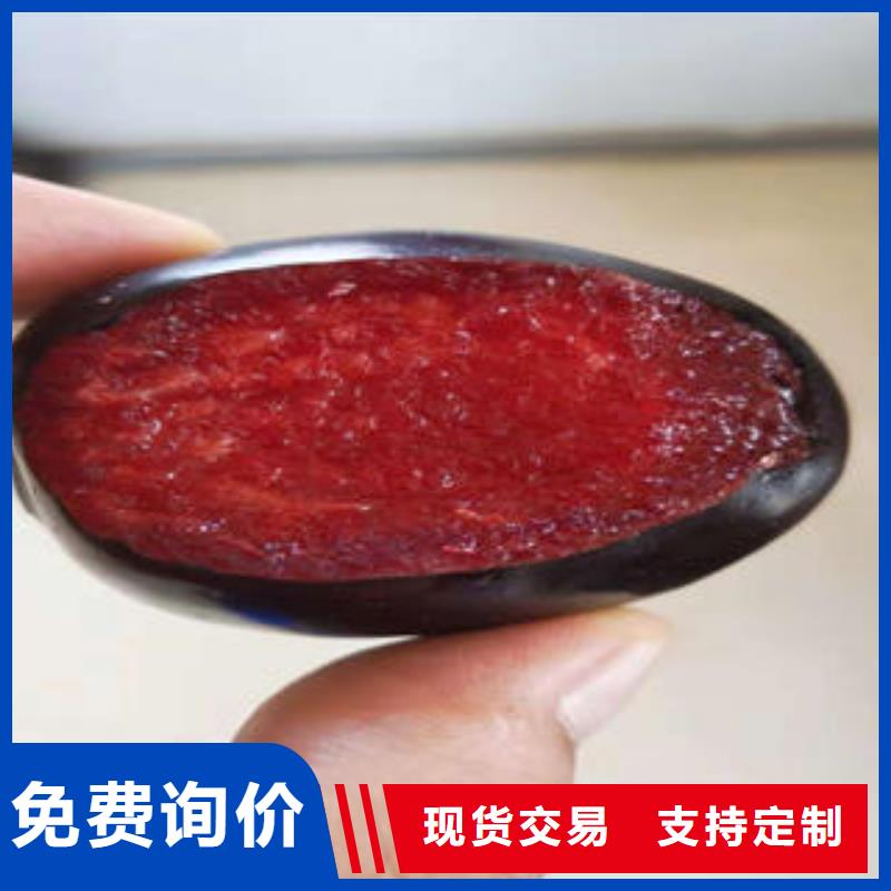 蓝莓苗-视频-蓝莓苗|铁岭市|西丰|昌图|辽阳|朝阳|抚顺|大连|沈阳|葫芦岛|营口