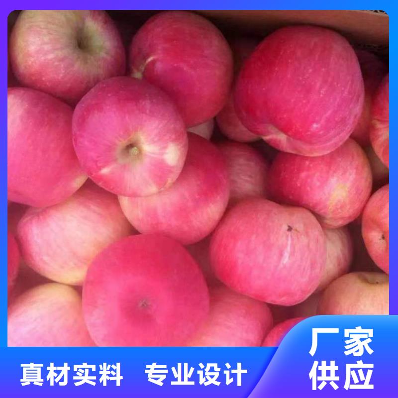 苹果苗山楂苗多种优势放心选择