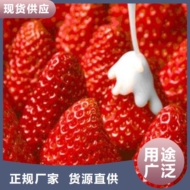 草莓苗桃树苗自有生产工厂