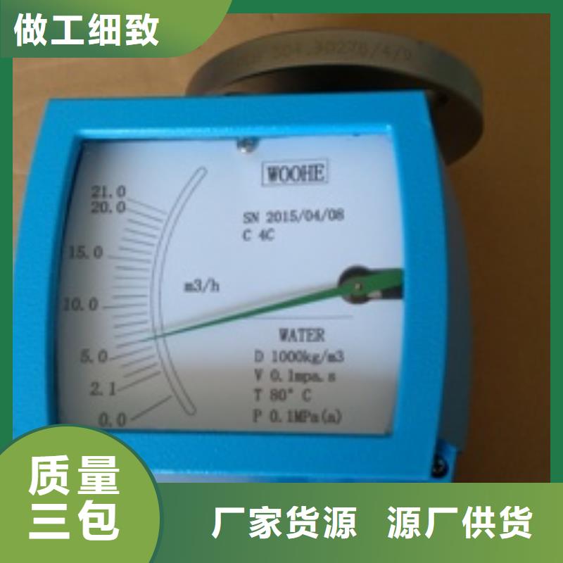 金属浮子流量计-高压吹扫装置来图定制