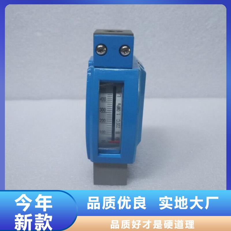 微小流量计吹扫装置一周内发货