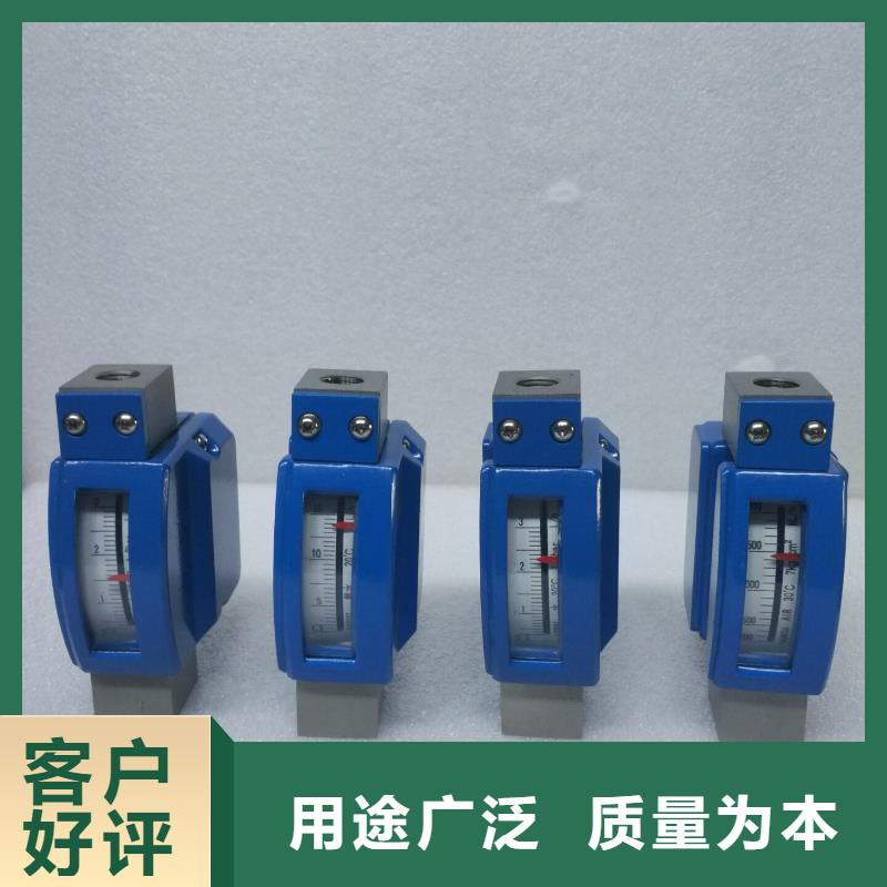 微小流量计吹扫装置一周内发货