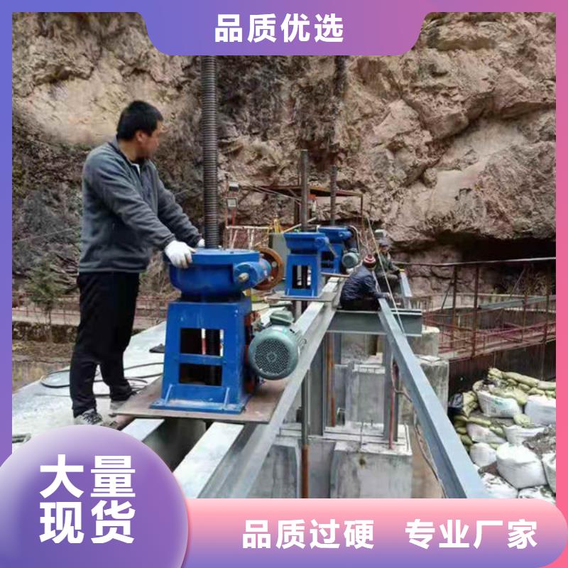 螺杆式启闭机双吊点启闭机您身边的厂家