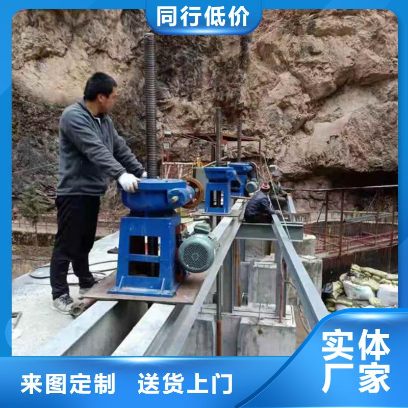 螺杆式启闭机,双吊点启闭机实力见证