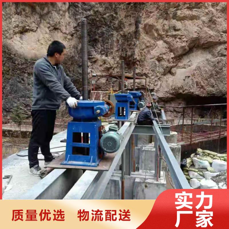 螺杆式启闭机,电动头启闭机厂家直销