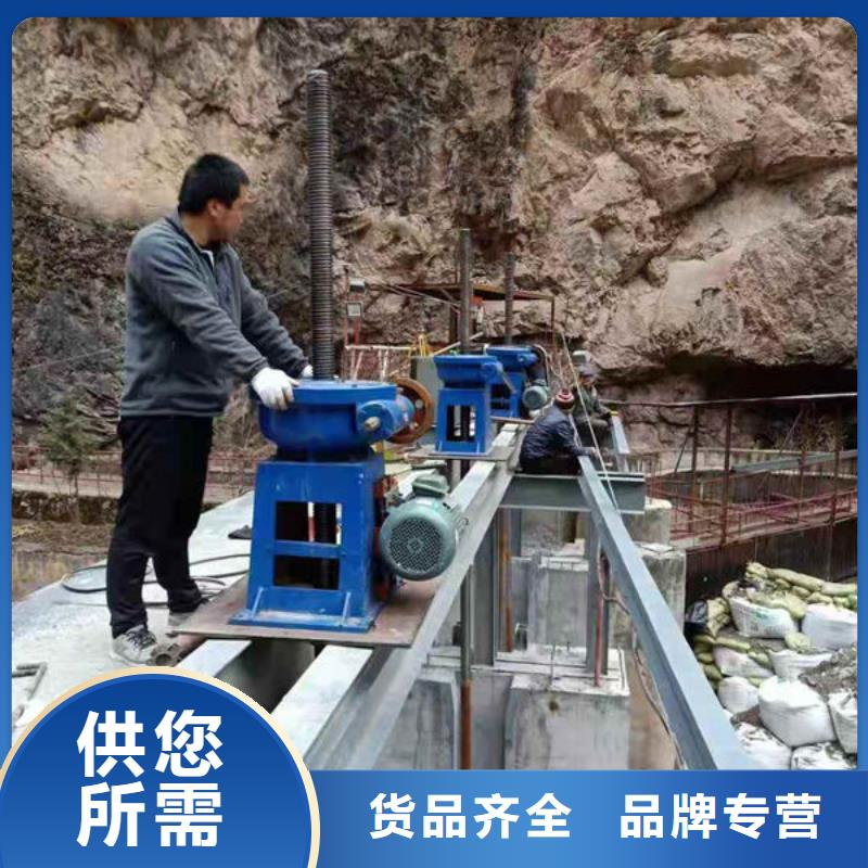 螺杆式启闭机侧摇启闭机加工定制