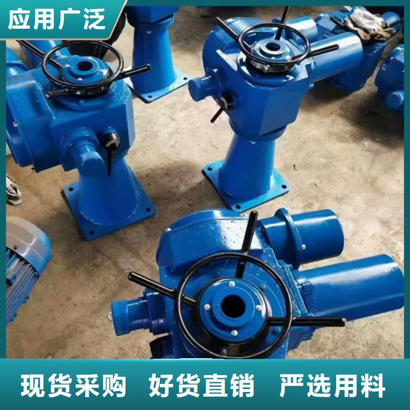 螺杆式启闭机双吊点启闭机品质有保障