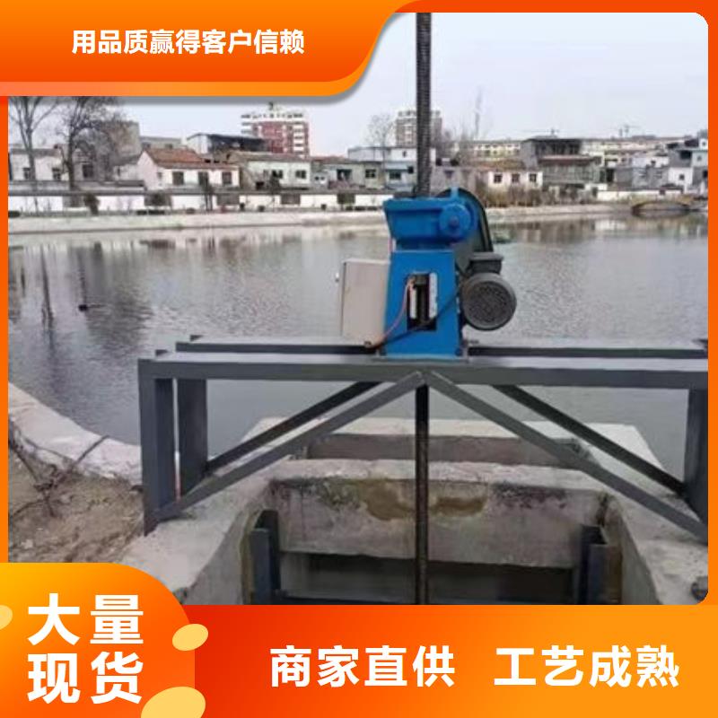 螺杆式启闭机启闭机闸门老品牌厂家