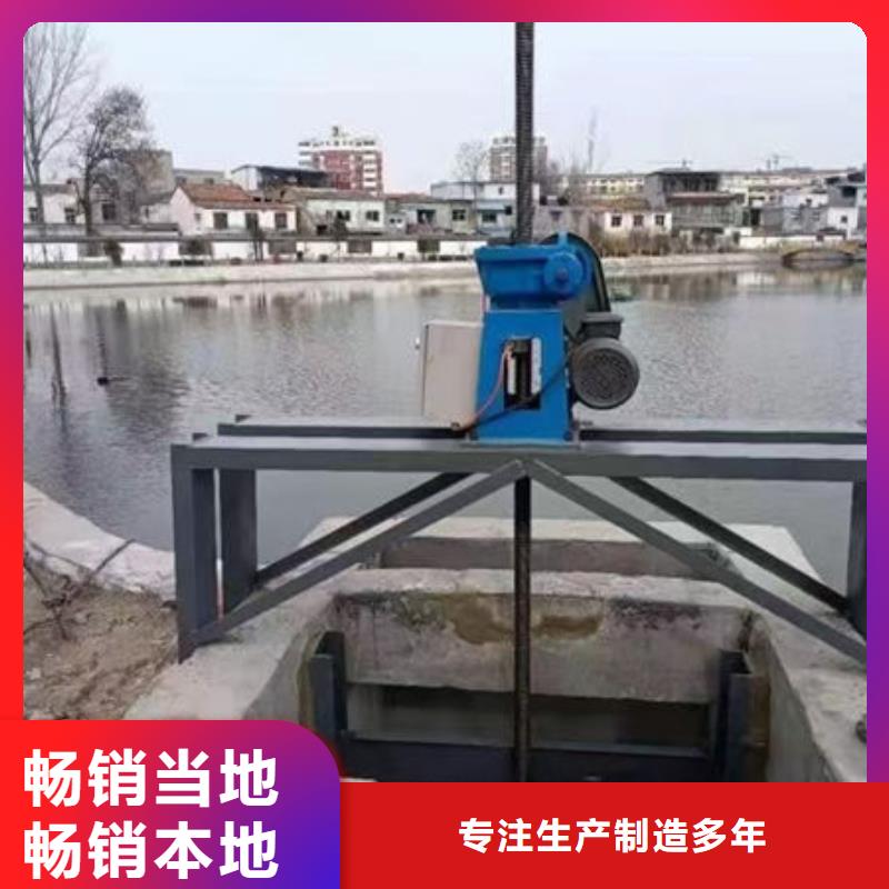 螺杆式启闭机电动头启闭机多年实力厂家
