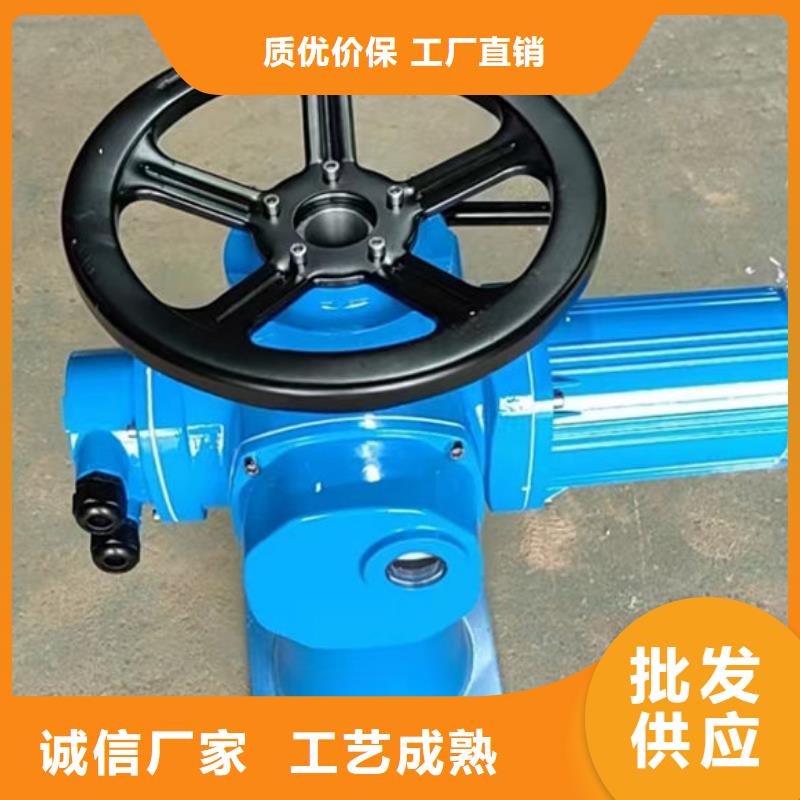 螺杆式启闭机QDA电装启闭机N年专注