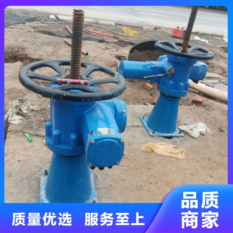 螺杆式启闭机-手动启闭机根据要求定制