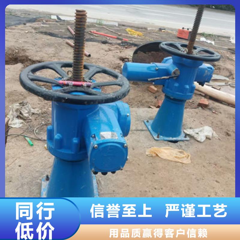 螺杆式启闭机-电动头启闭机诚信经营现货现发