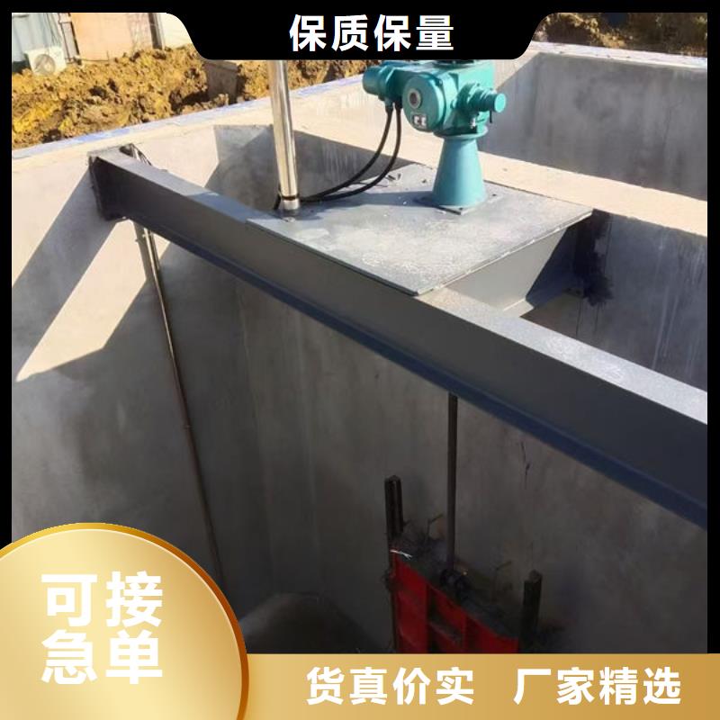 螺杆式启闭机斜拉式启闭机拒绝伪劣产品