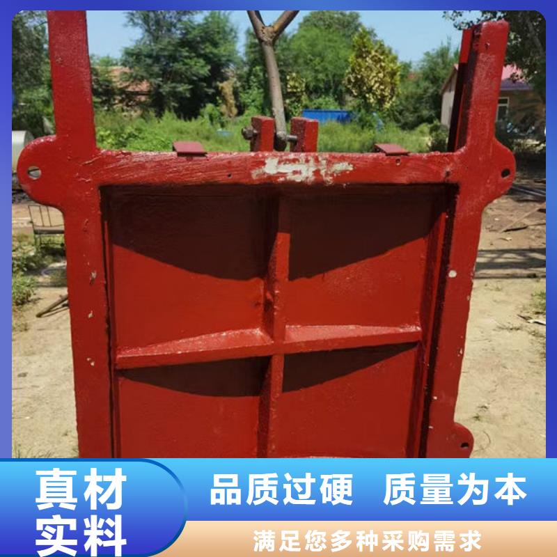 铸铁闸门_渠道闸门多年行业经验