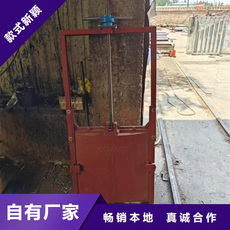 铸铁闸门-水电站铸铁闸门质量好