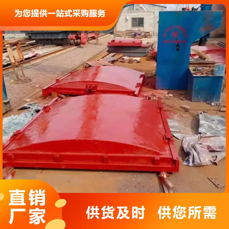 铸铁闸门,水库铸铁闸门产地源头好货