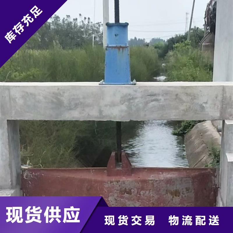 铸铁闸门河道铸铁闸门产品优良