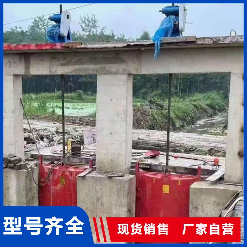 铸铁闸门,机闸一体式铸铁闸门生产经验丰富