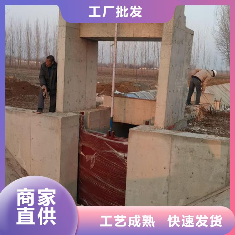 铸铁闸门,机闸一体式铸铁闸门生产经验丰富