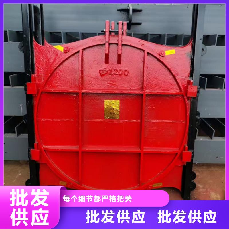 铸铁闸门-水电站铸铁闸门质量好