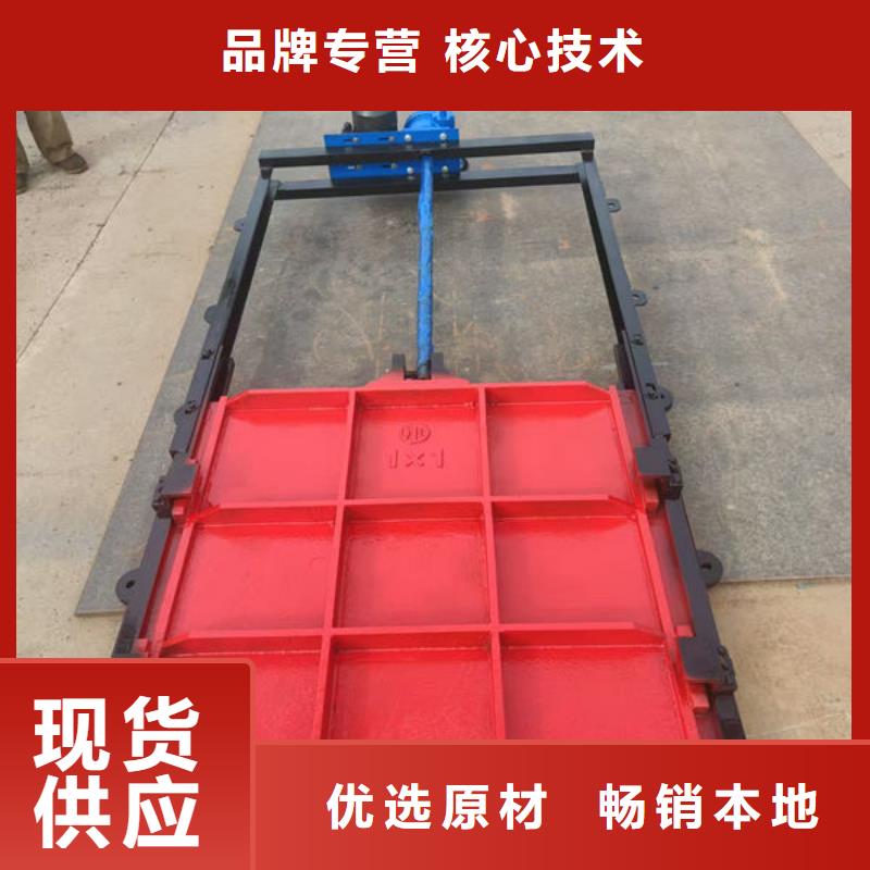 铸铁闸门,水电站铸铁闸门经销商