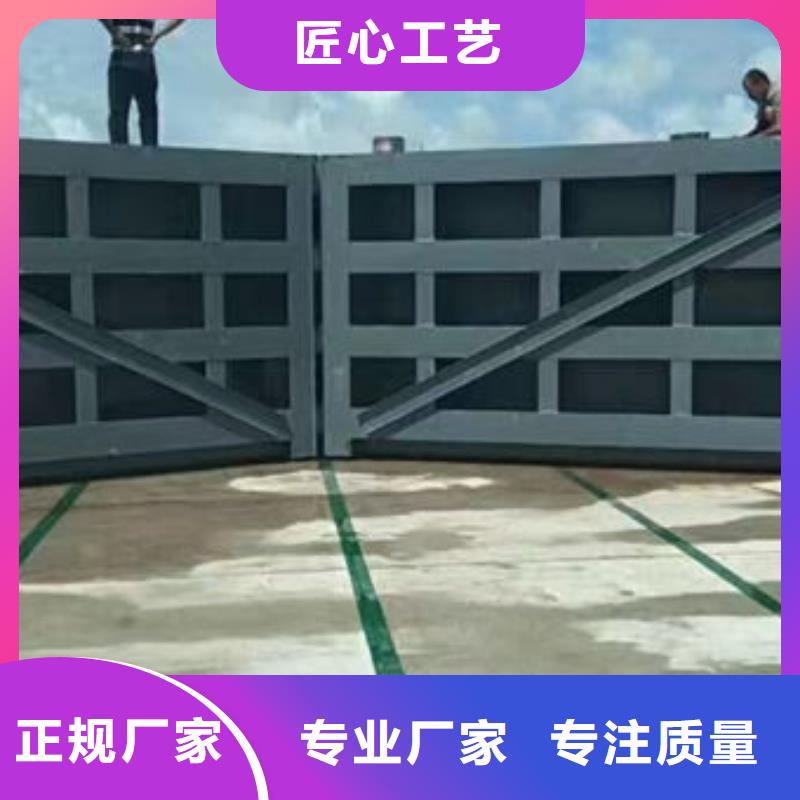 钢坝闸门自动抓梁用品质说话