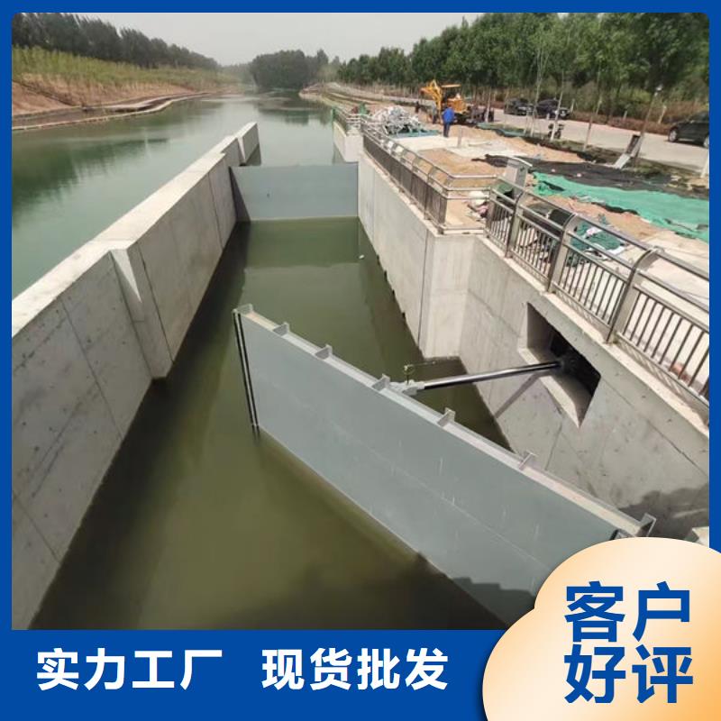 钢坝闸门合页钢坝采购无忧