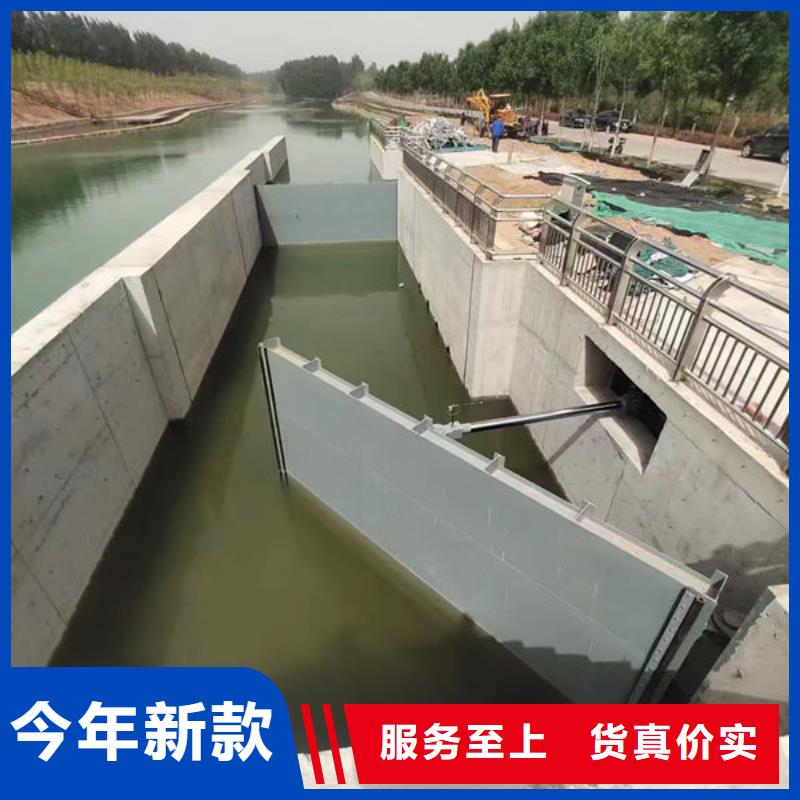 钢坝闸门泵站上卧式闸门品质卓越