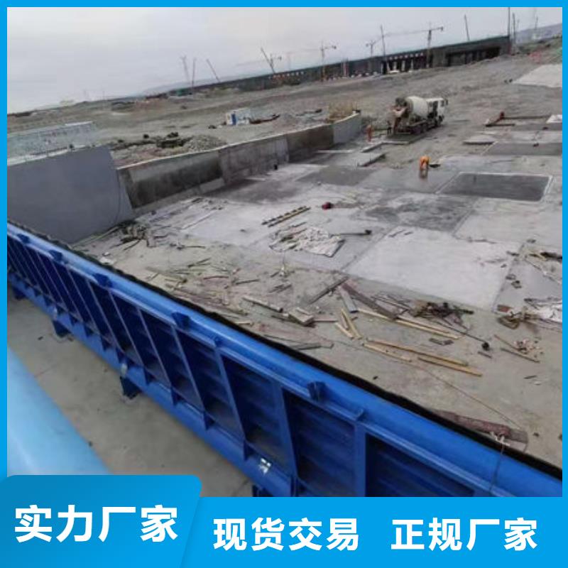 钢坝闸门-翻板闸门厂家现货供应