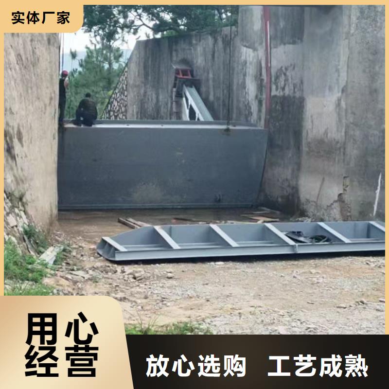 钢坝闸门合页钢坝实地大厂