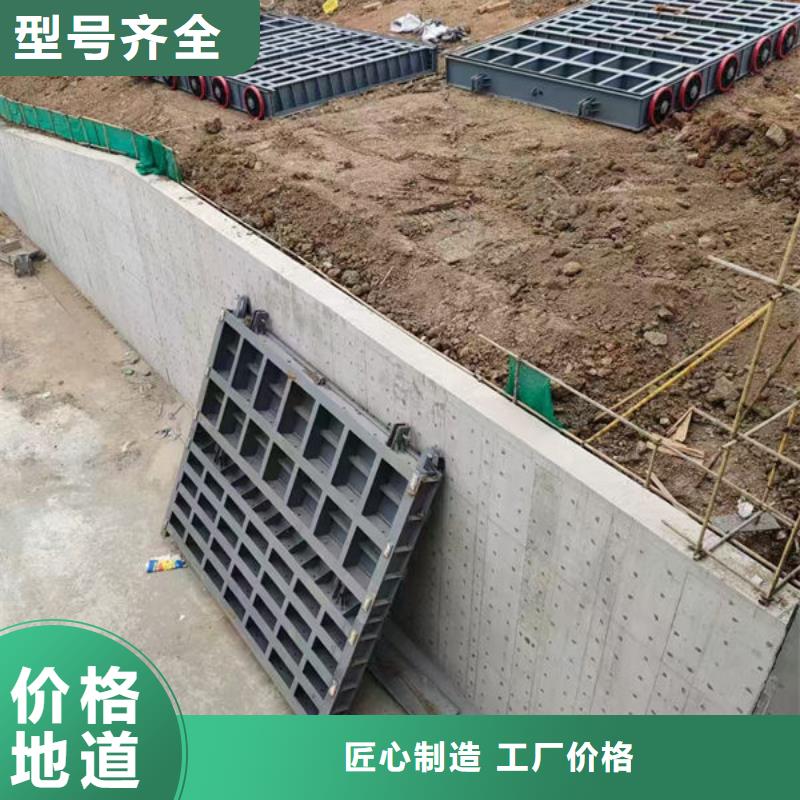 钢坝闸门-自动抓梁品质优良