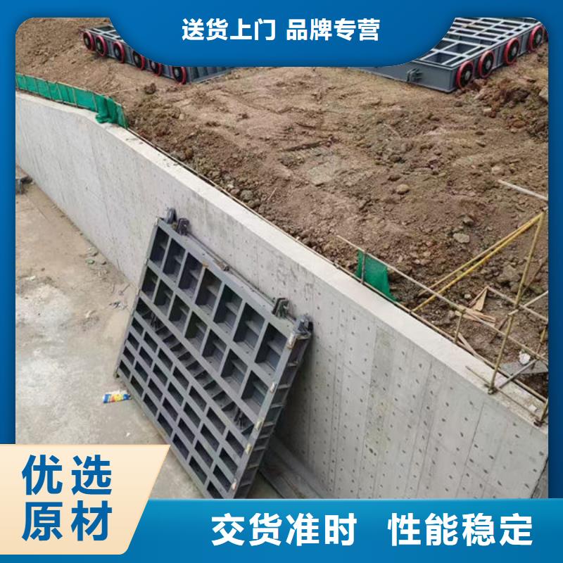 钢坝闸门叠梁门定制批发
