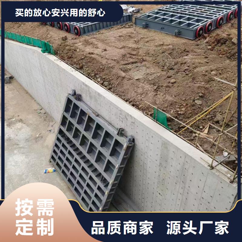 钢坝闸门自动抓梁自营品质有保障
