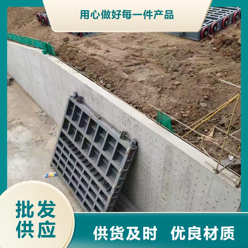 钢坝闸门钢制拍门用心做好每一件产品