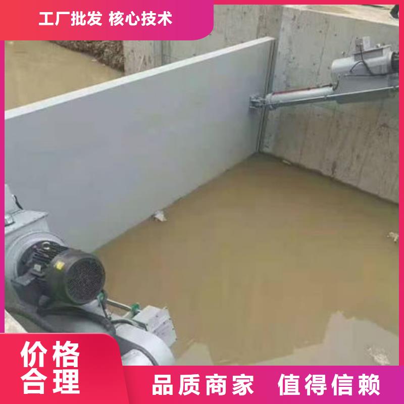 钢坝闸门合页钢坝实地大厂