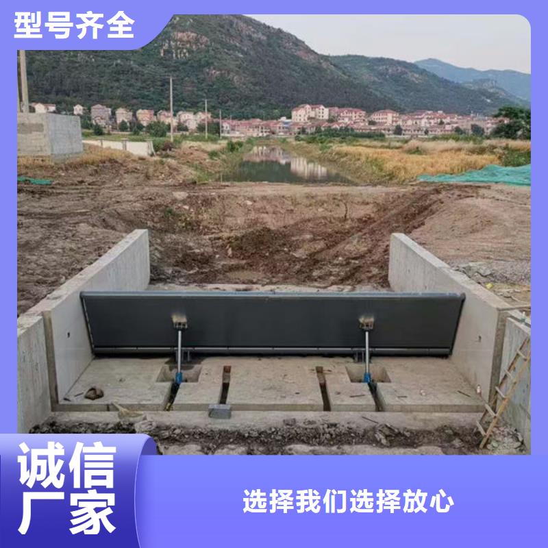 钢坝闸门合页钢坝现货直发