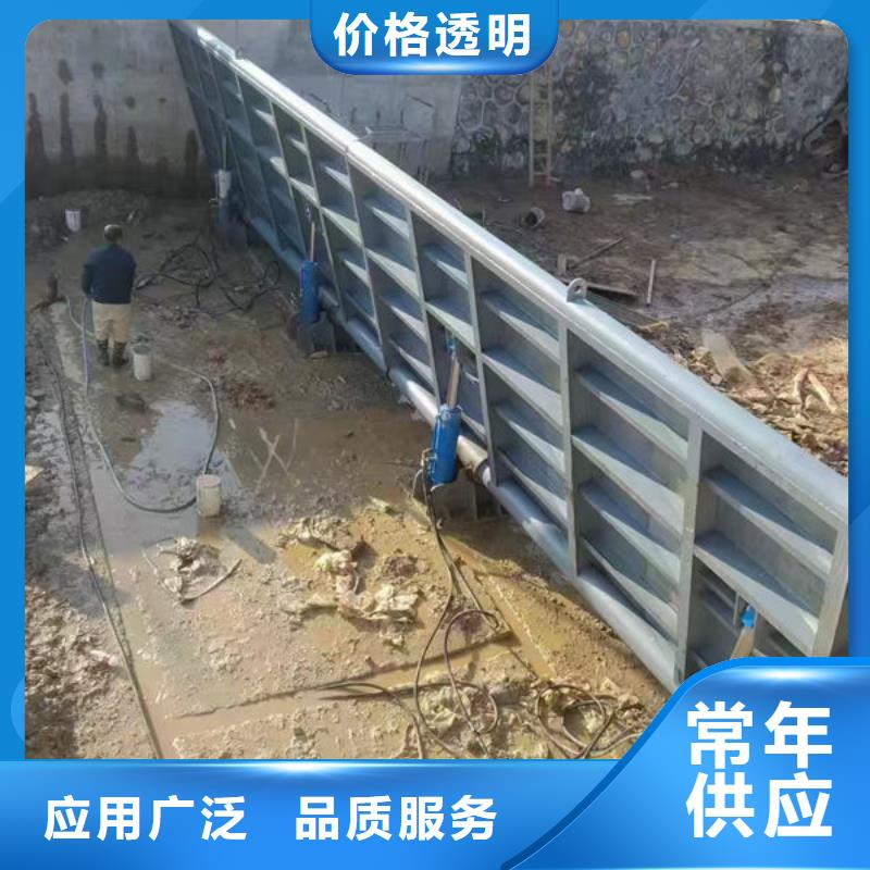 钢坝闸门-钢制拍门专业生产N年