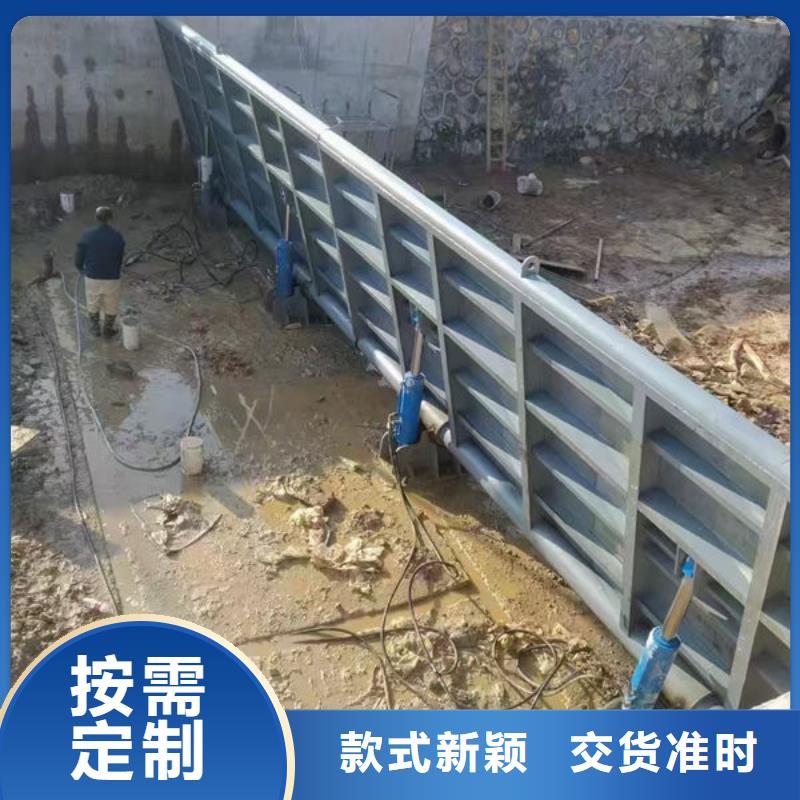 钢坝闸门合页钢坝实地大厂