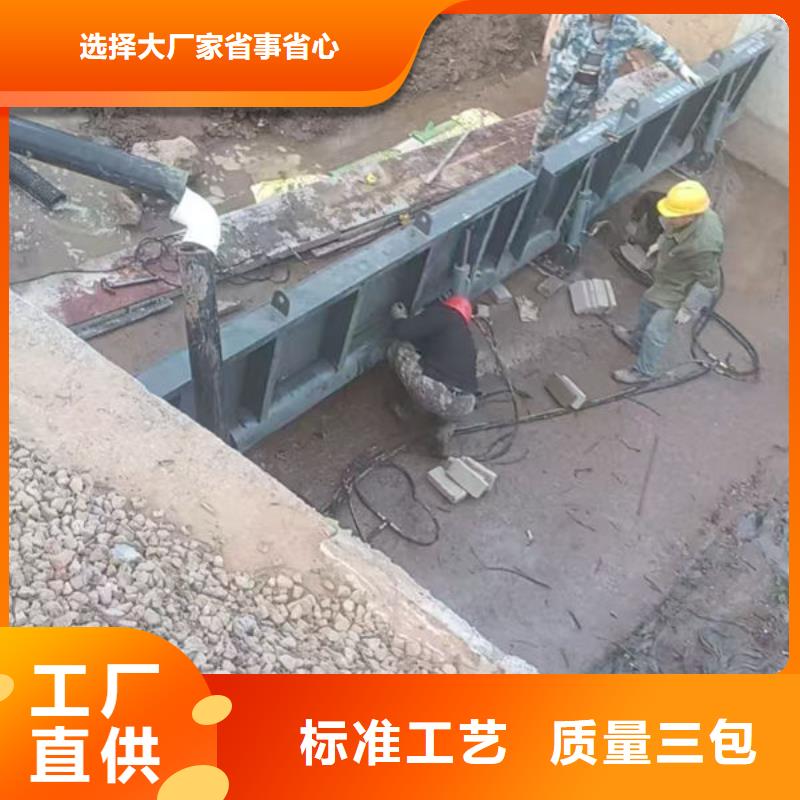 钢坝闸门钢制拍门细节展示