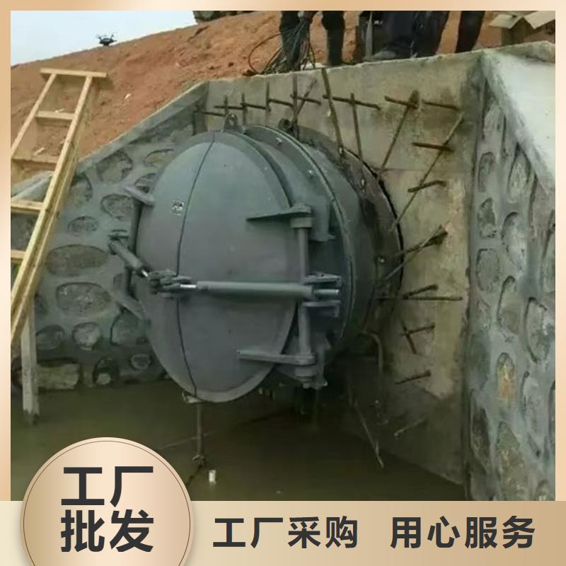 拍门钢制拍门N年大品牌