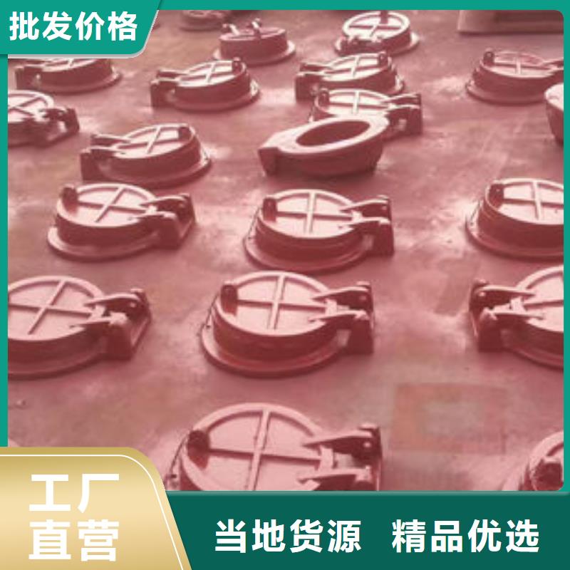 拍门方拍门源厂定制