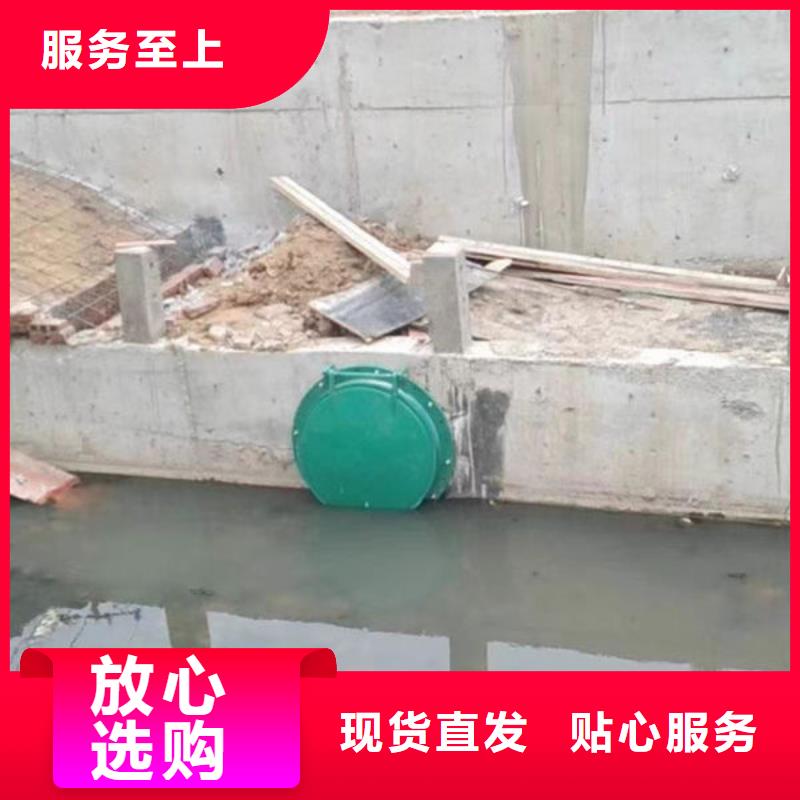 拍门防倒灌拍门专业生产制造厂