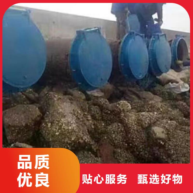 拍门_铸铁拍门诚信经营