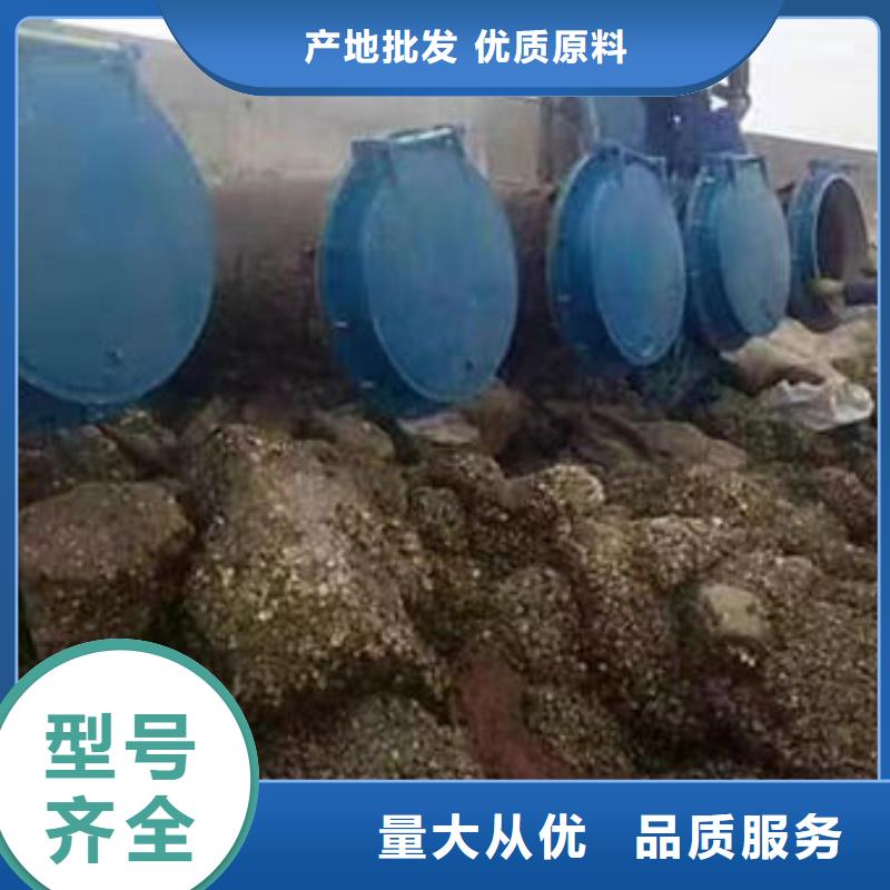 拍门钢制拍门厂家批发价