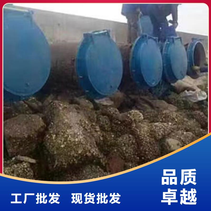 拍门复合材料拍门发货迅速