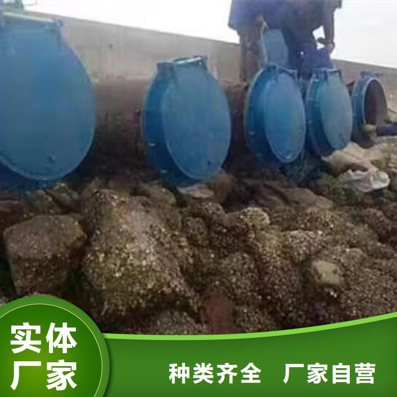 拍门-防倒灌拍门厂家直销直供