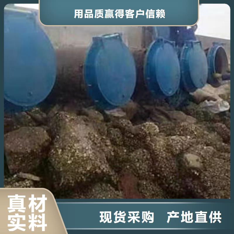 拍门防倒灌拍门支持定制批发